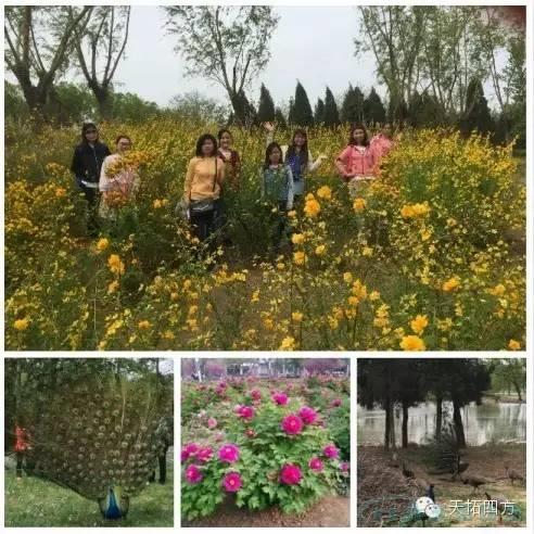 人生就是博四方拓展活动之---踏青游园 人生就是博四方拓展活动之---踏青游园