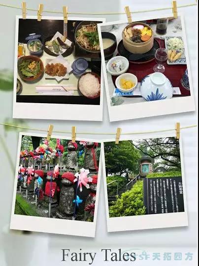 十五周年活动月 | 人生就是博四方代表团赴日考察
